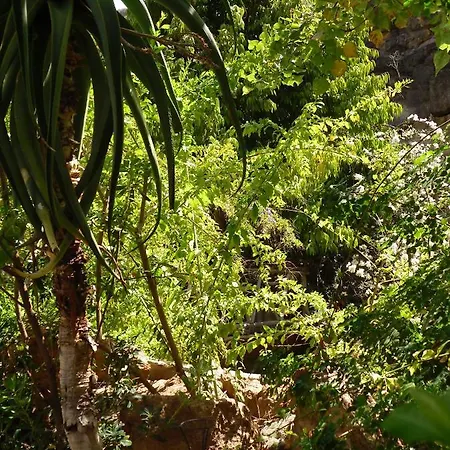 Jardin Botanico Montecristo